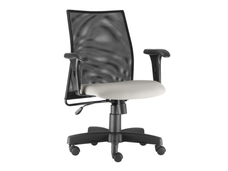 Diretor LSS - Image 2